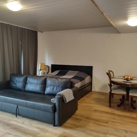 Spacieux Studio 38M2 Les Paccots ภายนอก รูปภาพ