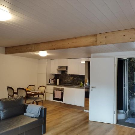 Spacieux Studio 38M2 Les Paccots ภายนอก รูปภาพ