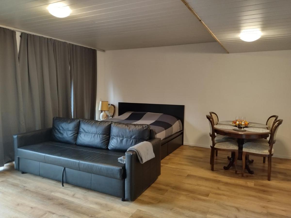 Spacieux Studio 38M2 Les Paccots ภายนอก รูปภาพ